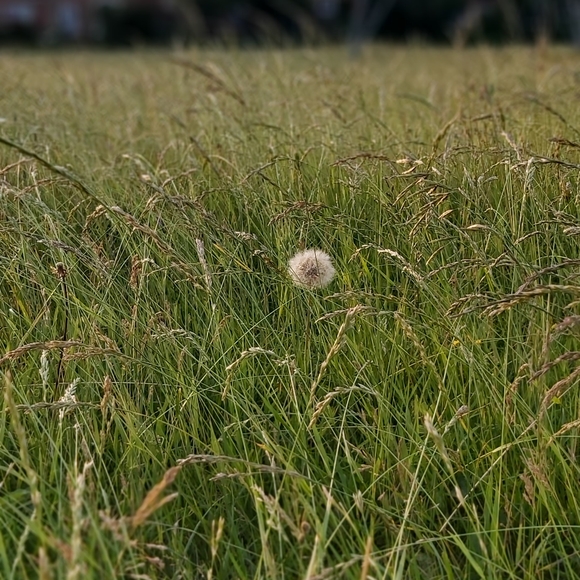 Meet your Posher, J S - Picture 1 of 1